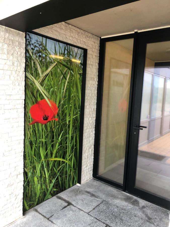 Klaproos - modern appartement op zeedijk Nieuwpoort Buitenkant foto